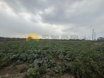 水電齊全/三分多大地坪/良田即可耕種/貨車出入方｜台南市善化區東勢寮