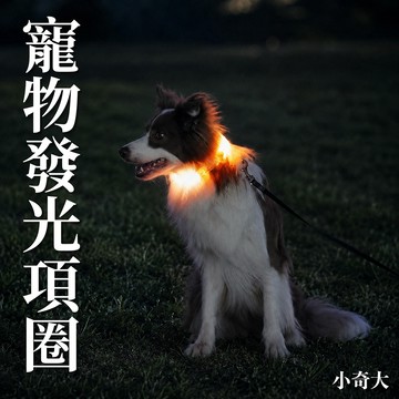 💙再皮的毛孩也藏不了💙USB發光項圈 警示燈 寵物項圈 寵物發光項圈 狗項圈發光 狗狗發光項圈 夜光項圈 led項圈