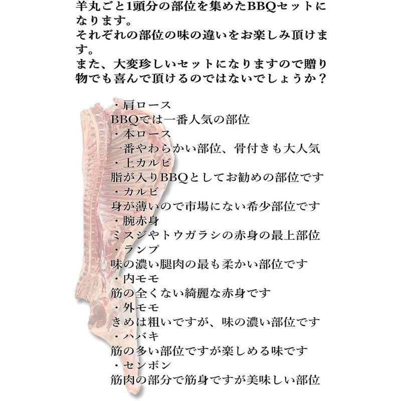 ラム BBQセット 希少部位入り 骨付き 内蔵肉 おいしい 豪華 人気 食品 羊 羊尽くし 1頭分セット 自家製たれ付き 2kg