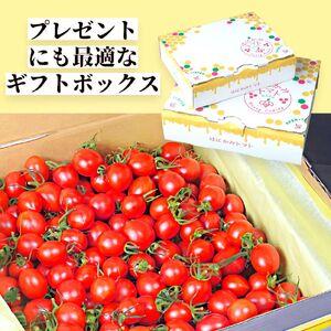 ふるさと納税 太陽の恵みをたっぷり浴びた はにかみトマト 1kg ミニトマト  真岡市 栃木 栃木県真岡市