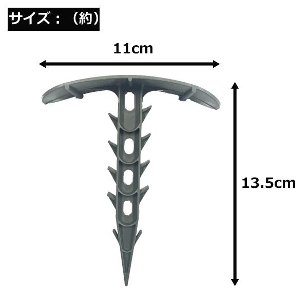 シンセイ プラピン 入