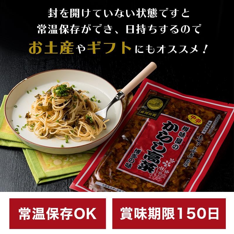 辛子高菜 からしたかな 漬物 250g x 2袋 国産 漬け物 高菜漬け 明太