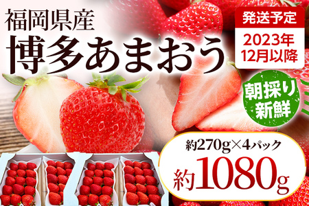 農家直送 朝採り新鮮いちご [(約270g)×4パック]＜2023年12月以降順次出荷予定＞