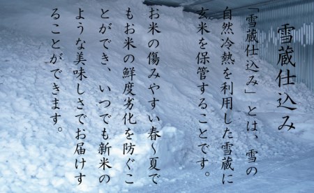 契約栽培 雪蔵貯蔵米 南魚沼産こしひかり （3合×8袋×全6回）