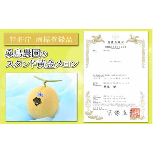 ふるさと納税 福井県 あわら市 特許庁 商標登録品 スタンド黄金メロン 3L×1玉（約1.8kg）／ 期間限定 果物 フルーツ 高級メロン マスクメロン 産…