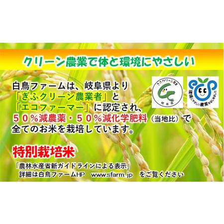 ふるさと納税 特別栽培米★[定期便] 5カ月★毎月 玄米10kg 岐阜県池田町