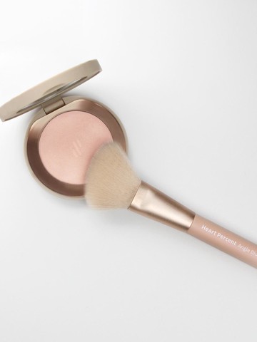 Angle Blush Brush