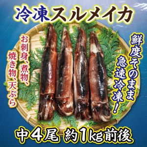 冷凍スルメイカ 中 ４本～６本 （約１kg前後） 年内配送 年内お届け