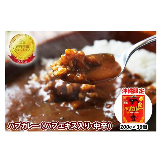 ふるさと納税 沖縄県 南城市 ハブカレー（ハブエキス入り・中辛）30個セット