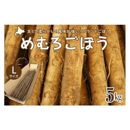 ふるさと納税 北海道 芽室町 北海道十勝芽室町 めむろごぼうＬサイズ5kg me010-015c