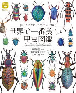 世界で一番美しい甲虫図鑑 きらびやかに、つややかに輝く 海野和男 ・著福井敬貴標本制作・著法師人響