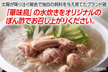 福岡「華味鳥」水炊きセットN(2～3人前)