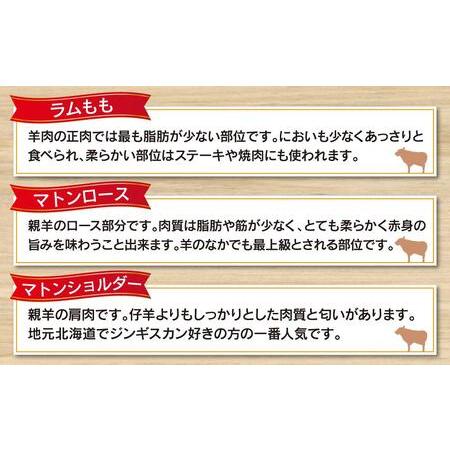 ふるさと納税 日乃出ジンギスカン食べ比べ5種セット 【 羊肉 焼肉 肉 焼き肉 小分け 焼肉用 焼肉セット ラム マトン ロース 肩ロース .. 北海道旭川市