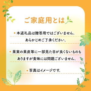 柑橘の救世主 訳あり ご家庭用 あすみ 約5kg