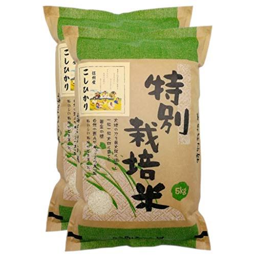 新米 信州産 特別栽培米 こしひかり 10kg（5kg×2） 令和5年産 《受注精米》 米 お米 コメ 長野県 信州ファーム荻原