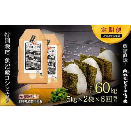 ふるさと納税 ≪令和5年産≫農家直送！魚沼産コシヒカリ特別栽培「白羽毛の米」精米(5kg×2袋.. 新潟県十日町市