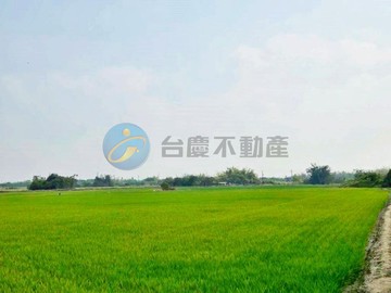 專-官田區角秀段都內美農地整合開發首選 F｜台南市官田區角秀