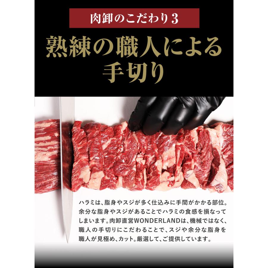 ハラミ 焼肉 はらみ 牛はらみ 厚切りハラミ 肉 牛肉 ハラミステーキ 