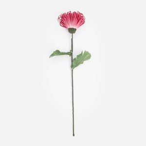 Flora芙蘿拉花插煙火菊72cm 亮粉