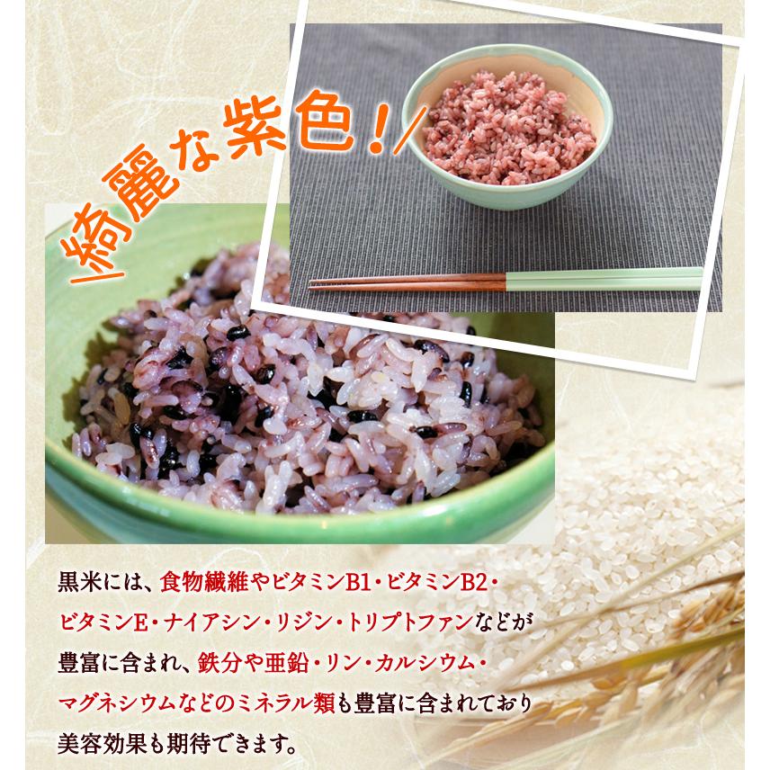 黒米（紫黒苑・古代米）1kg 福井県令和5年産 無農薬・無化学肥料栽培