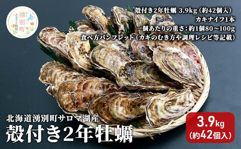 北海道 湧別町 サロマ湖産　殻付き2年 牡蠣 3.9kg（約42個入）