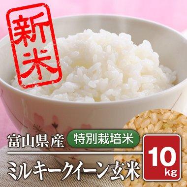 富山県産 特別栽培米 ミルキークィーン(令和4年) 10kg