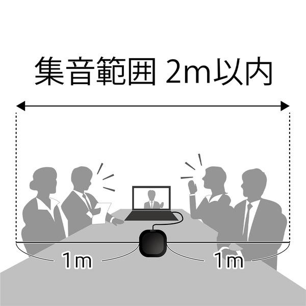 USB Type-Cデジタルマイクロホン 平型無指向性タイプ UMF-06 BK ミヨシ（MCO）