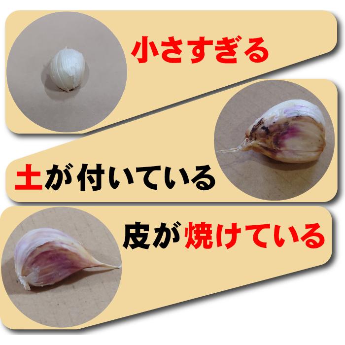 訳あり にんにく 粒不揃い 青森県産にんにく ホワイト六片にんにく 完全訳あり メール便 送料無料