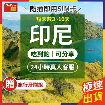 【極速出貨】印尼網卡 實體sim卡 印尼sim卡 印尼網路卡 印尼網卡 吃到飽 印尼上網卡 網路卡 網卡 峇里島網卡