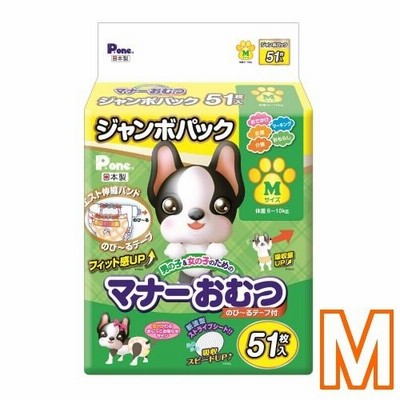 第一衛材　P.one　725　男ノ子＆女ノ子　マナーパンツ　のびるテープ　(ジャンボパック)　M　51P(40900134)