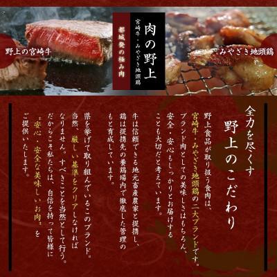 ふるさと納税 都城市 宮崎牛ウデ・モモ焼肉　800g