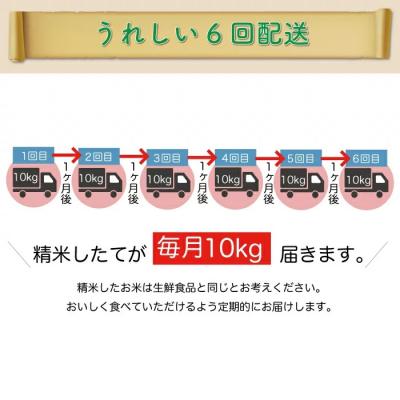 ふるさと納税 大蔵村 令和5年産 はえぬき60kg定期便(10kg×6回)　山形県大蔵村