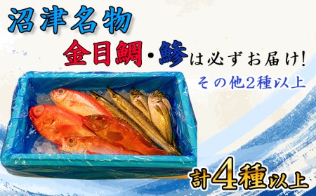 旬 鮮魚 セット 3kg 朝獲れ 沼津 駿河湾 金目鯛 鯵