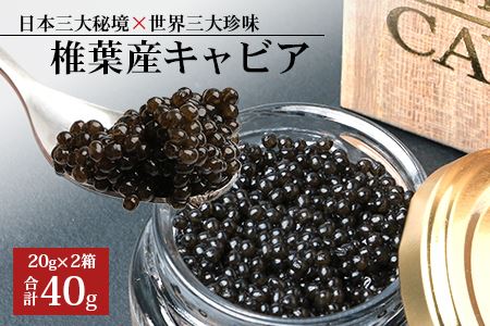 HEIKE CAVIAR 40ｇ チョウザメ キャビア 