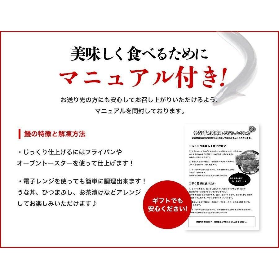 うなぎ 鰻 国産 うなぎ蒲焼き 2尾 約150g×2本 風呂敷包み 鹿児島県産 送料無料 冷凍便 プレゼント