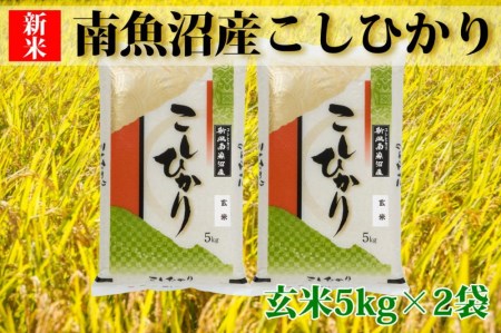 南魚沼産コシヒカリ「Sun](玄米5×2袋)を全9回