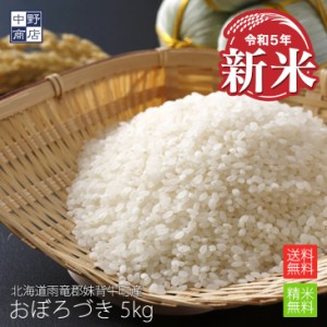 新米 無農薬 米 玄米 北海道産 おぼろづき 5kg 特別栽培米（節減対象農薬 栽培期間中不使用 化学肥料（窒素肥料）栽培期間中不使用） 雨