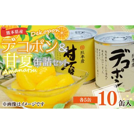 ふるさと納税 デコポン 甘夏 缶詰 セット 10缶入 (各5缶) 果物 柑橘 フルーツ 熊本県水俣市