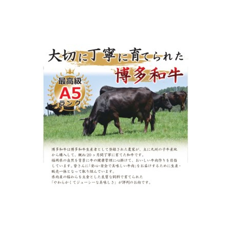 博多和牛 切り落とし 1000g(500g×2パック) 肉 牛肉 肩 バラ 福岡 太宰府 通販 LINEポイント最大1.5%GET |  LINEショッピング