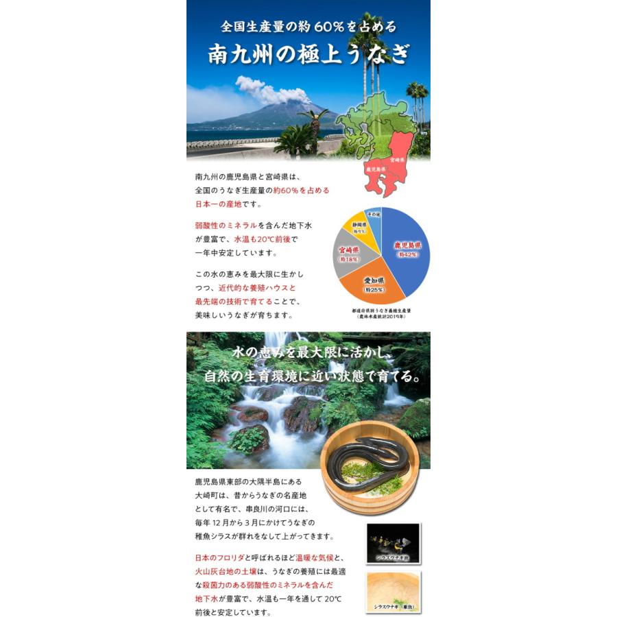 うなぎ 蒲焼き 国産 無頭230g×2尾入り 真空パック ギフト化粧箱 食べ方説明書 タレ＆山椒付き ウナギ 鰻 お歳暮　お年賀　ギフト　贈り物 FF