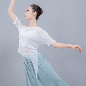 性感網紗衣現代舞服芭蕾舞蹈形體網紗衣練功服演出服練功服舞蹈衣