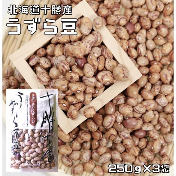 うずら豆 250g×3袋 豆力 北海道十勝産 （メール便）北海道産 アサヒ食品工業 うずら 国産 国内産 徳用 乾燥豆 手料理 煮豆用