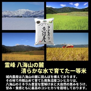 新潟県 南魚沼産 コシヒカリ お米 こしひかり 玄米 のし 贈り物  熨斗 贈答用 令和5年産 城内農産 特A地区米 5kg