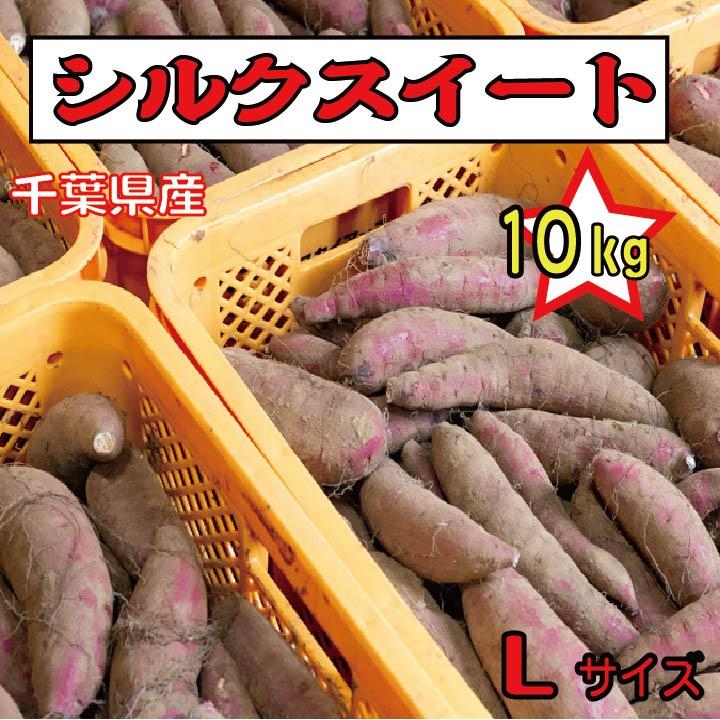 さつまいも 千葉県産 シルクスイート 約10kg Lサイズ土付き