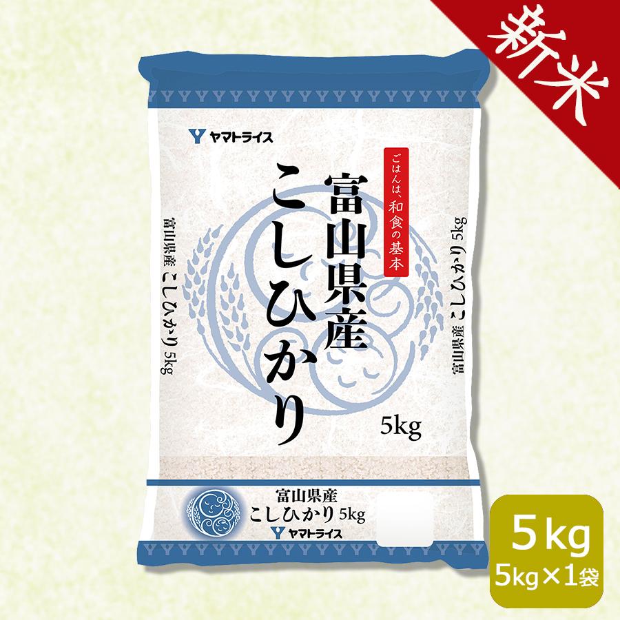 米 お米 コシヒカリ 5kg 富山県産 令和5年産 白米