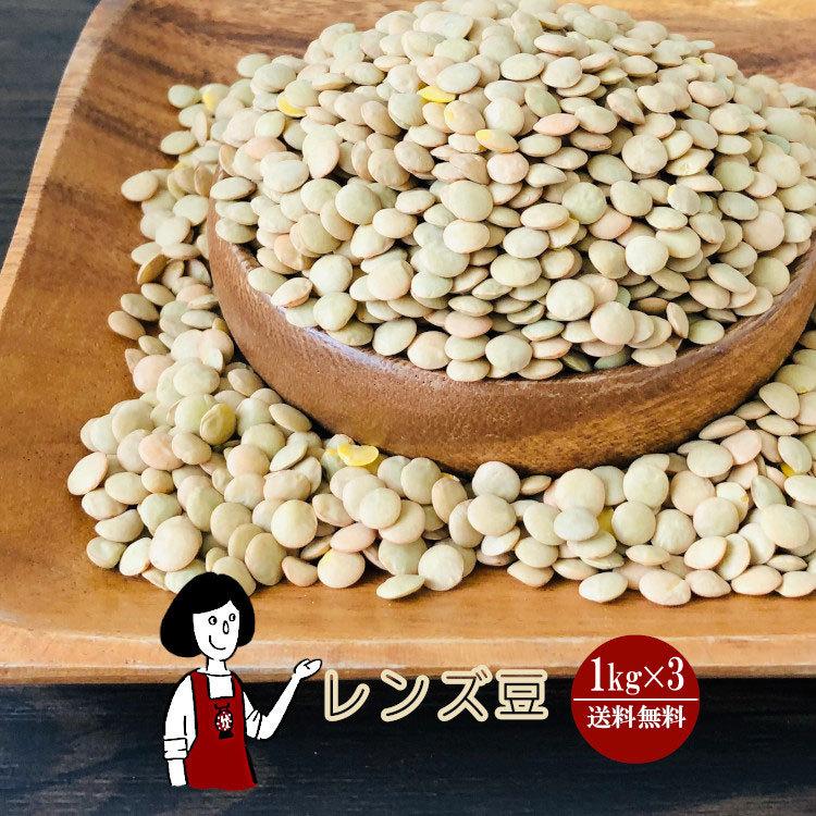 レンズ豆 1kg×3 計3kg   チャック付