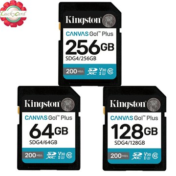 KINGSTON  64GB 128GB 256GB SD SDHC SDG4 200MB/s V30 4K 金士頓
