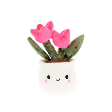 Keel Flower Bobballs Tulip 鬱金香盆栽12cm