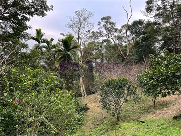 近新店客運總站農牧用地｜新北市新店區安康路三段