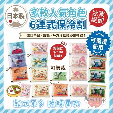 🔥【批發日本】現貨快出-電子發票 日本製 可裁切 6連保冷劑 保冷劑 隨身保冷 便當防腐 Asahi 興洋 夏日必備🔥